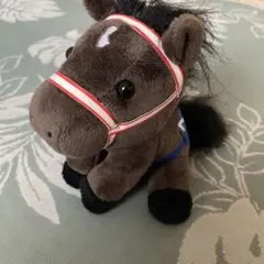 アイドルホース Selection コントレイル　第41回ジャパンカップ