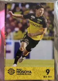 【新品未使用/早い者勝ち】細谷真大 柏レイソル ルヴァン カード