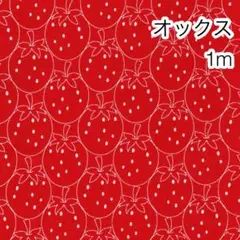 1m いちご レッド オックス