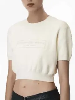 超美品　alexanderwang 半袖 ニット トップス ホワイト XSのサムネイル