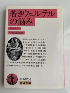 若きウェルテルの悩み ゲーテ 岩波文庫