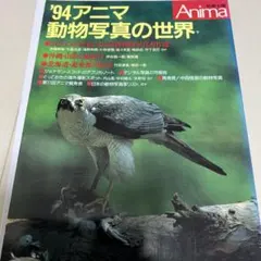 Item thumbnail for item 59dfc8dd-5e53-4cfb-b943-fb8d7ebd54d2