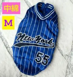 Item thumbnail for item 8b6123c1-a3b2-437c-8f44-aff2ee996671