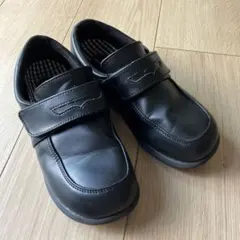 Item thumbnail for item 68f36f59-15da-40a9-9a8e-dca5c4af819a