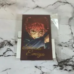 Fate UBW 10周年記念　WEBSHOPくじ ブロマイド　衛宮士郎　N95