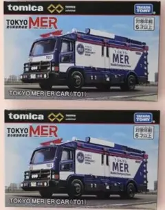 Item thumbnail for item d3a4e2ba-01f1-4a26-92d3-3fe467badb36