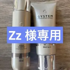 2026年最新】SYSTEM PROFESSIONAL シャンプーの人気アイテム - メルカリ