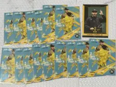 スチュワートJr タカコレカード