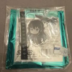 鬼滅の刃 時透無一郎 ゆらゆらアクリルスタンド 鎹鴉運ばれ隊士