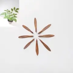 2025年最新】アオダモ 種子の人気アイテム - メルカリ