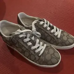 キャンバススニーカー スニーカー