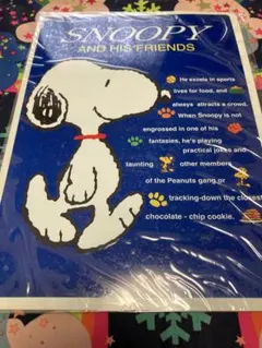 Item thumbnail for item 040ceb05-20f1-4397-9c38-8ac32fed11eb