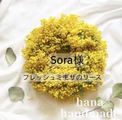 ⬛︎Sora様専用⬛︎フレッシュミモザのリース