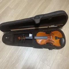 2025年最新】バイオリン弦の人気アイテム - メルカリ