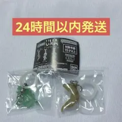 暗闇で光る！UMAめじるしアクセサリー