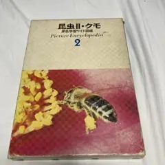 昆虫Ⅰ 学研 原色ワイド図鑑 学習研究社 - メルカリ