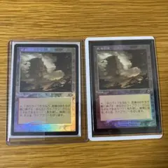 MTG 乾燥台地 日本語4枚 - メルカリ
