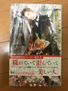 さよならトロイメライ