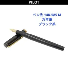 PILOT 14Kペン先　万年筆 鳳凰 国光会作　蒔絵　インクセット PILOT 14Kペン先 万年筆 鳳凰 国光会作 蒔絵 インクセット - メルカリ