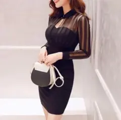 シースルー長袖タイトフィットブラックドレス