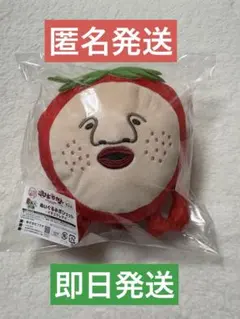 こびとづかん キャラ福くじ B賞④ イチゴクレナイ ぬいぐるみポシェットのサムネイル