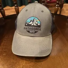 パタゴニア フィッツロイ・スコープ・ロープロ・トラッカー・ハット