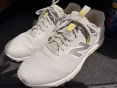 New Balance Fresh Foam X 2500 v5のサムネイル