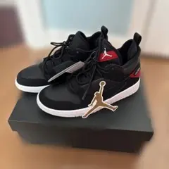 24cm 新品未使用✴︎黒タグ　公式ステッカー　ジョーダン　AIRJORDANのサムネイル