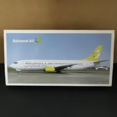 Solaseed B737-800 JA812X Air Exeggutor - メルカリ