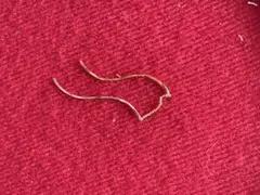 Item thumbnail for item 7b6c723f-f7f8-4e17-81c0-c8133a382de5