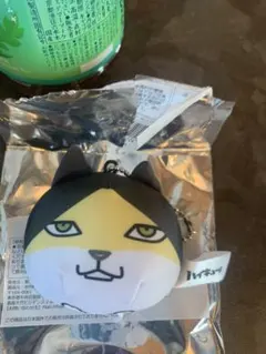 ハイキュー！！トレーディング動物マスコットミニビーズクッション角名倫太郎