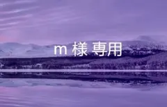 m 様 専用