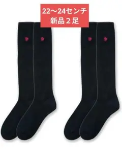 GUNZE　靴下ポロハイソックス２足組　22〜24センチ　ネイビー