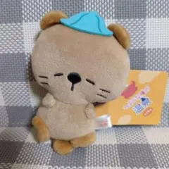 つぶらな瞳の温泉らっこ