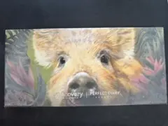 PERFECT DIARY アイシャドウパレット