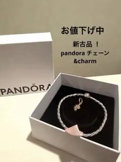 2026年最新】パンドラ PANDORA Moments Snake Chain Bracelet 