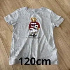 ポロベアー　Tシャツ　120cm