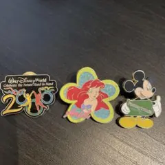 ディズニーワールド　ピンバッジ 3個