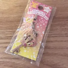 平成レトロ　希少　当時品　サンエックス　しあわせカギ　ピンク