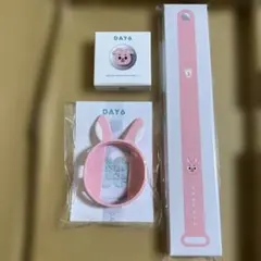 新品未開封 PIL DAY6 デニマルズ ライトバンド フルセット - メルカリ