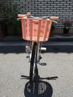 エコパルブルー20インチ恵庭近郊引き取り限定 エコパルブルー20インチ恵庭近郊引き取り限定 - メルカリ