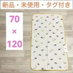 Item thumbnail for item 6ab02ab7-8ac6-4093-b854-8dd65d22a554