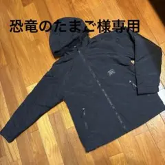 Item thumbnail for item 523cf3d5-3207-4754-97fb-21f12cfb4708