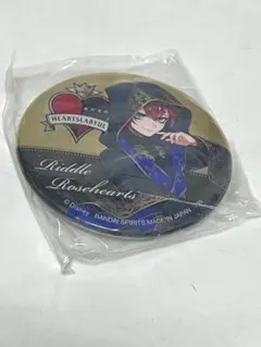 匿名配送/ディズニーツイステッドワンダーランド 缶バッジ リドル