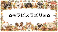 専用