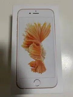 iPhone6S 64GB 空箱