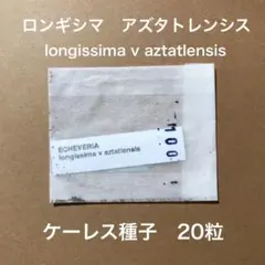 jiojiojio様 リクエスト 5点 まとめ商品