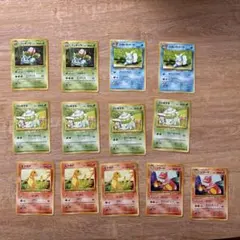 初代御三家 13枚 ヒトカゲ、リザード、ゼニガメ、カメール、フシギダネ、 旧裏