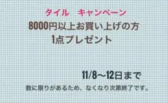 8000円以上お買い上げごとに1点プレゼント‼️