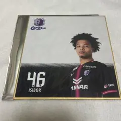 セレッソ大阪　イシボウ　46